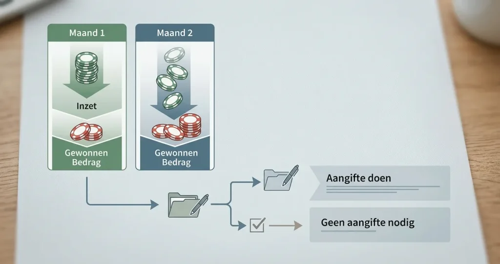 Illustratie van maandelijkse inzet, gewonnen bedrag en kansspelbelasting